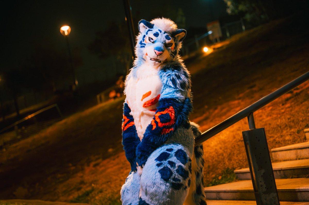 iruseh2co3's tweet photo. 一緒に夜景を楽しみましょう☺️

📷@loniceradc66 
#FursuitFriday https://t.co/A5bBxzcWfT