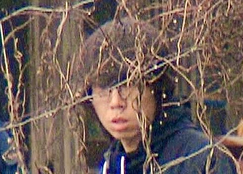 チョコ tweet media