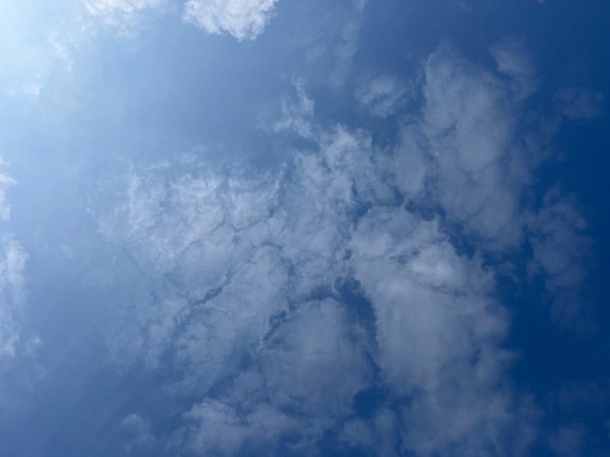 いたずらデビル tweet media