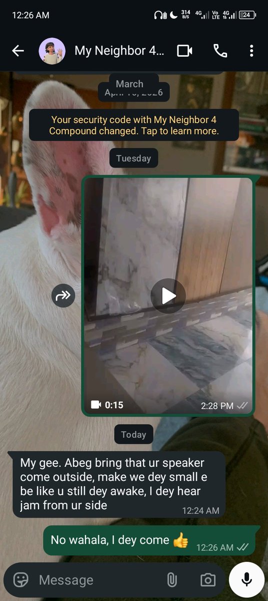 WIZKID MEDIA tweet media