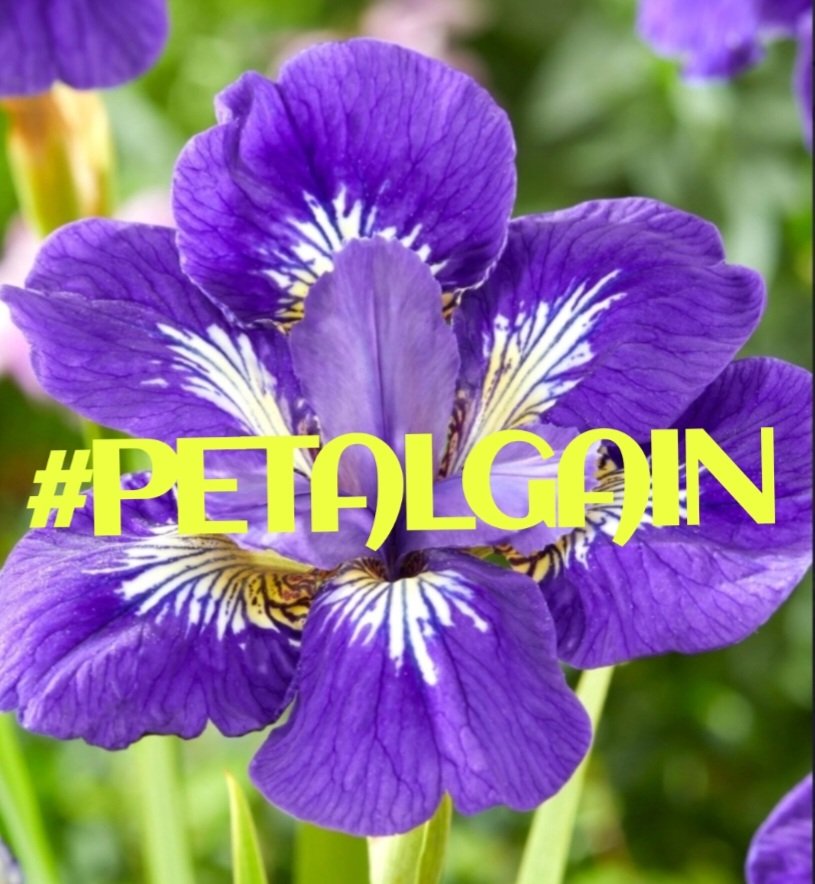 BlueA125 tweet media