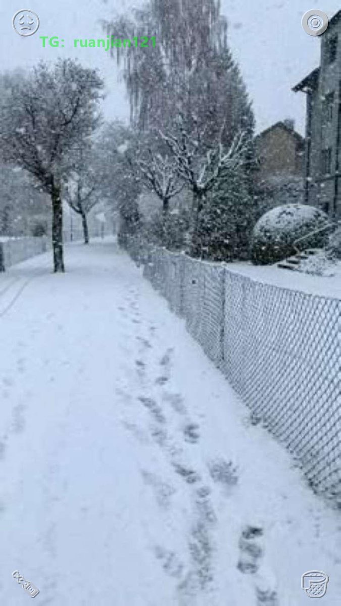 ad2b336f8744803's tweet image. Get clients daily from Twitter 💰  

طريقة سهلة لجلب العملاء 🚀  

Automation changed everything 👇  

#makemoney #automation #twitter #UAE