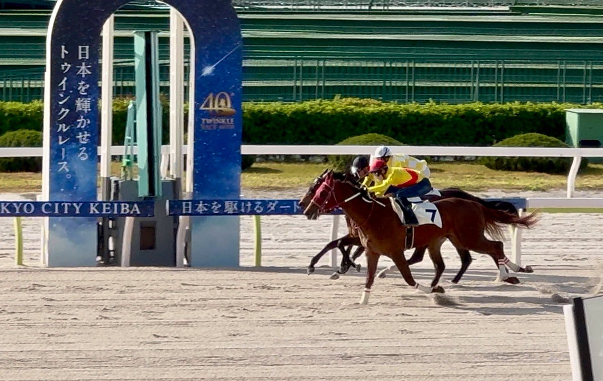 福田真広厩舎 / 大井競馬場小林分場 tweet media