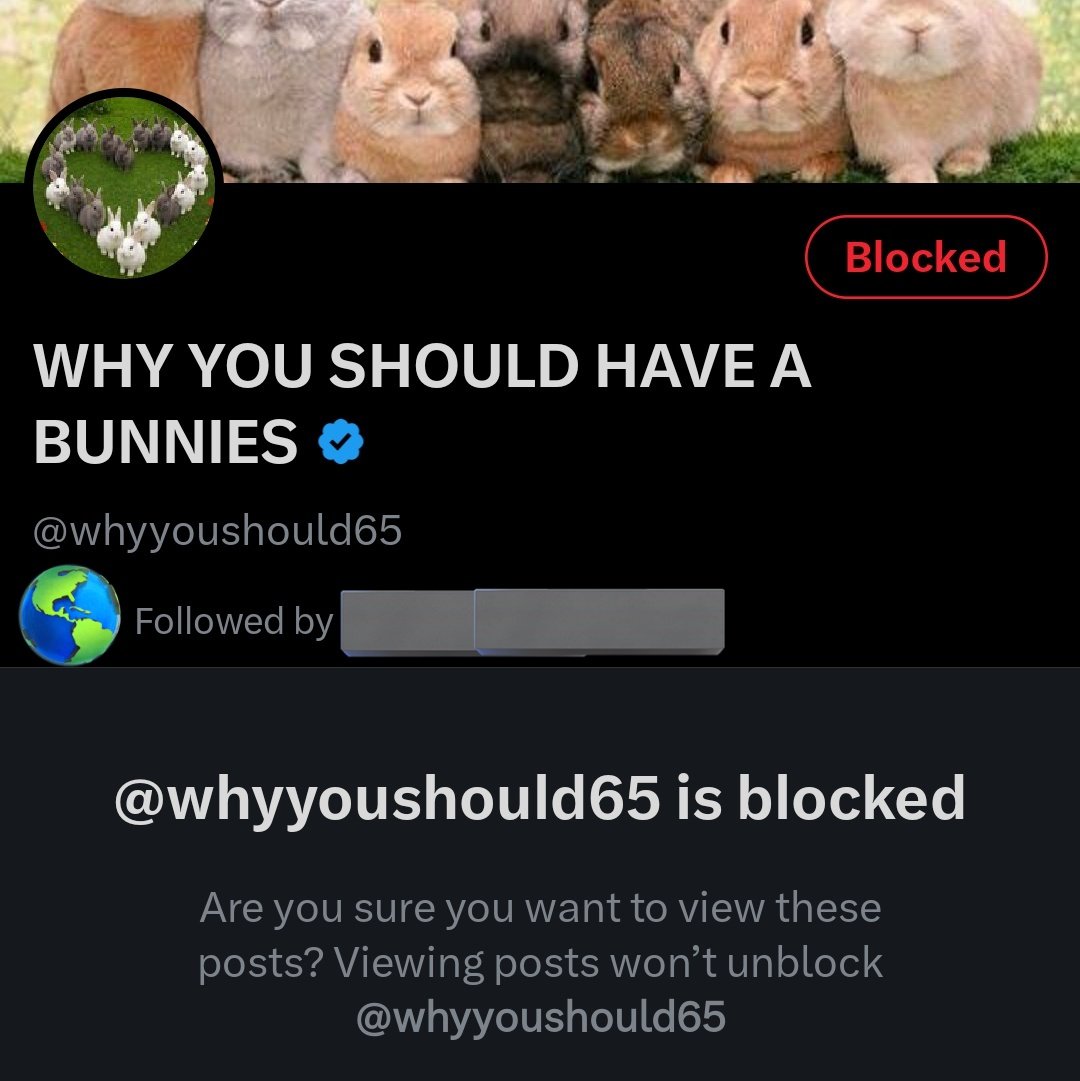 bnu 🐇👽 tweet media