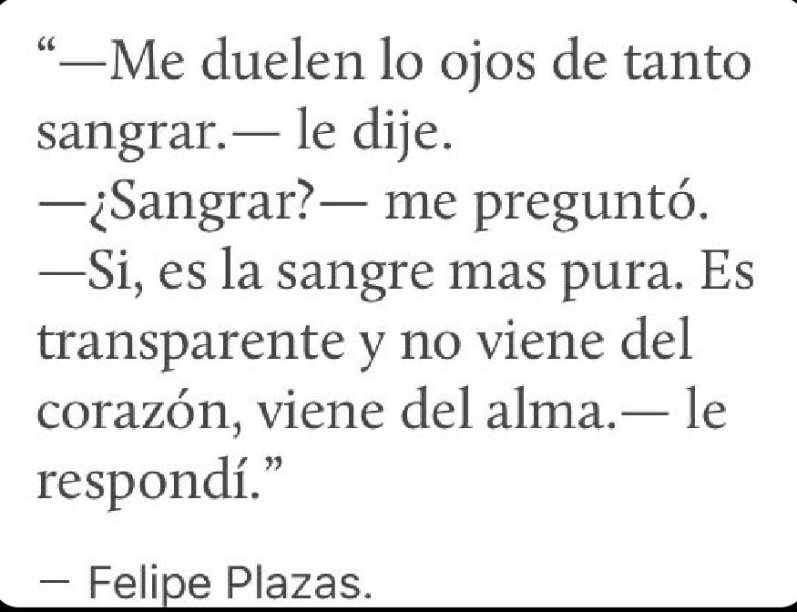 Ani 🇦🇷🐾🌊🔆 tweet media