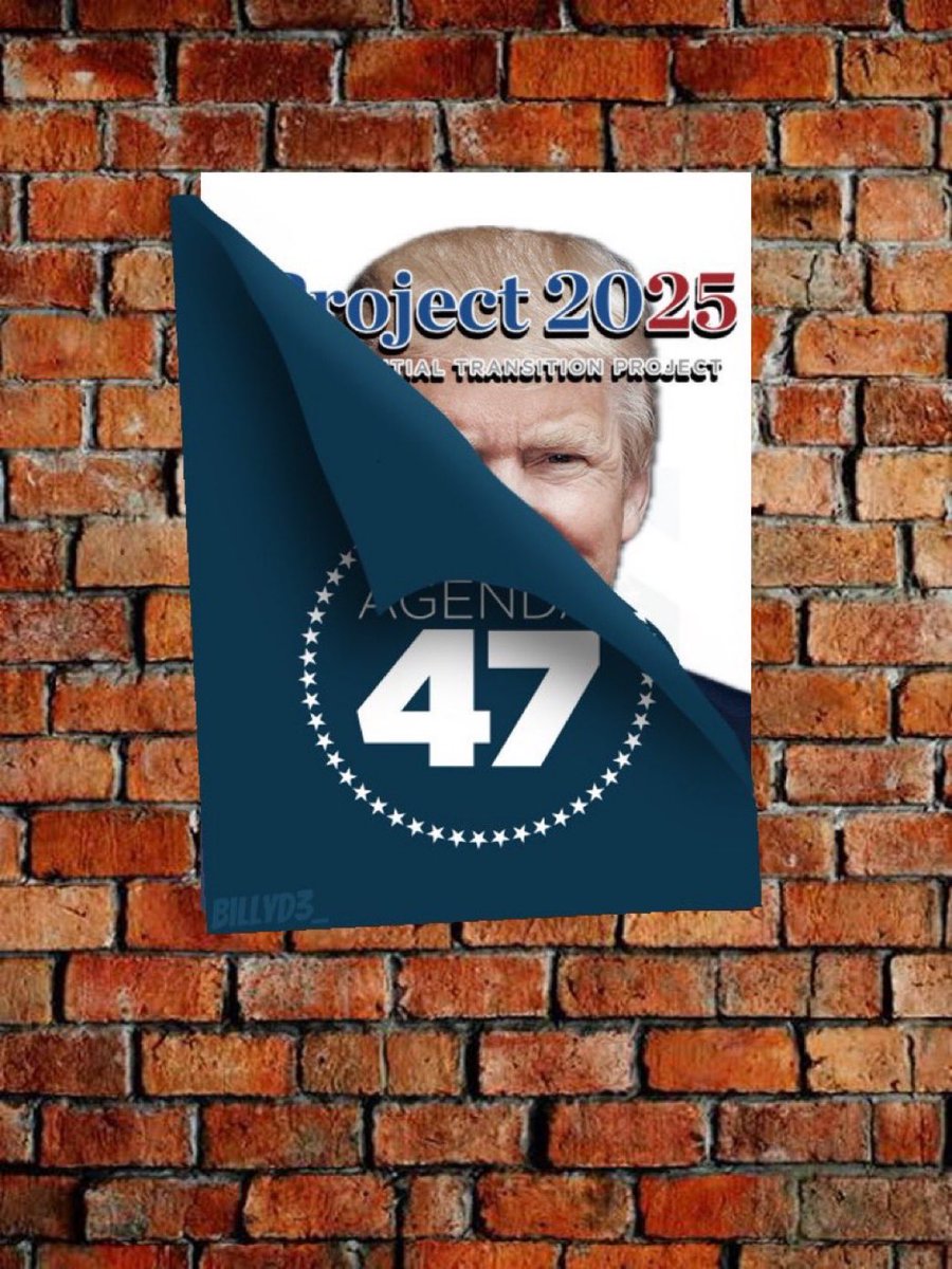 bkaydw's tweet image. Do you  know who wrote contributions to Project 2025? (Its goals are 53% successful in Trump’s first year)
Russell Vought
Brendan Carr
Peter Navarro
Tom Homan 
to name a few…

We tried to warn you!
We tried!
#wtpBlue #DV1 
nbcnews.com/politics/trump…