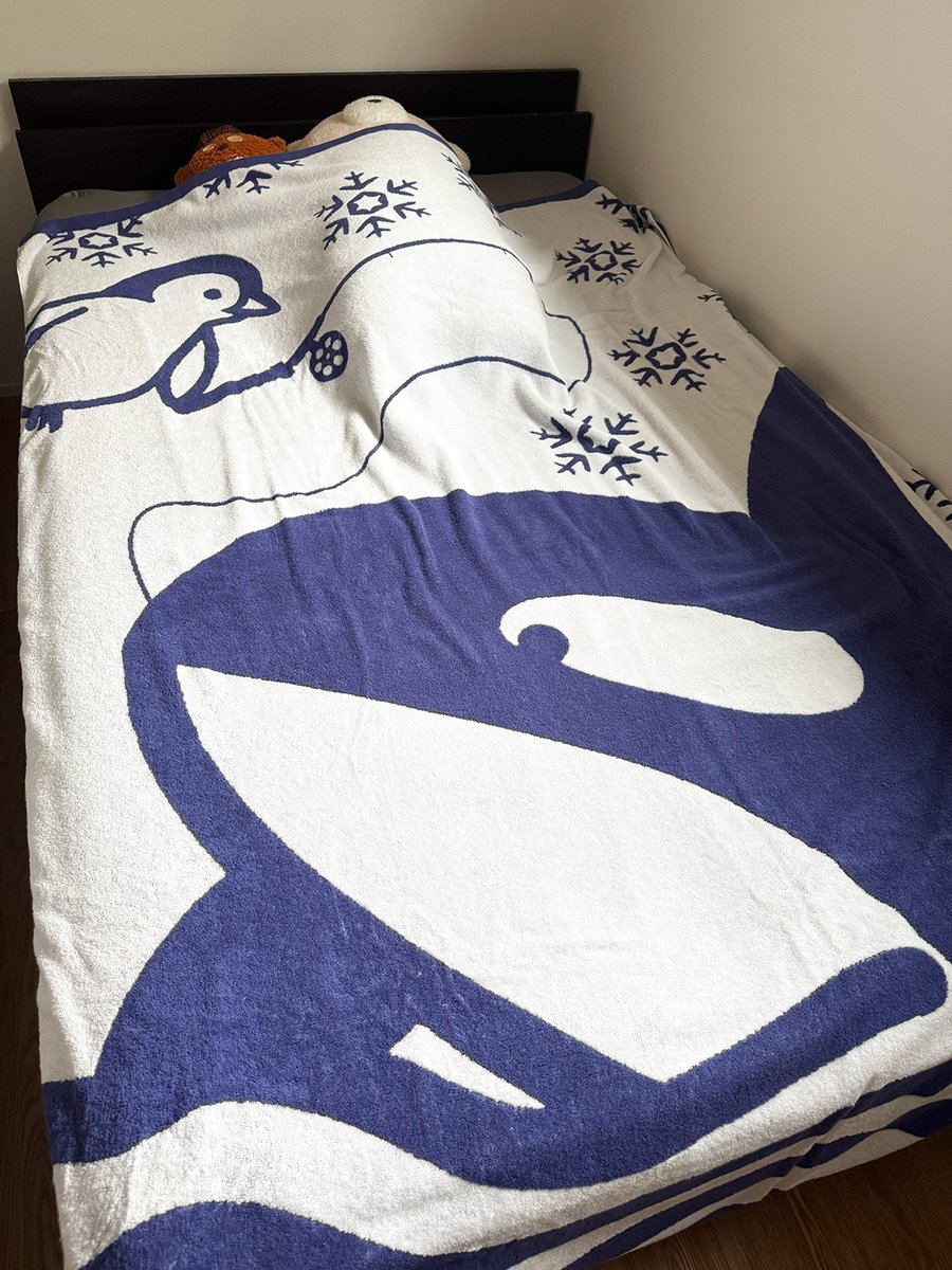 ジョーナンくん🐘【今治のタオル屋さん】 tweet media