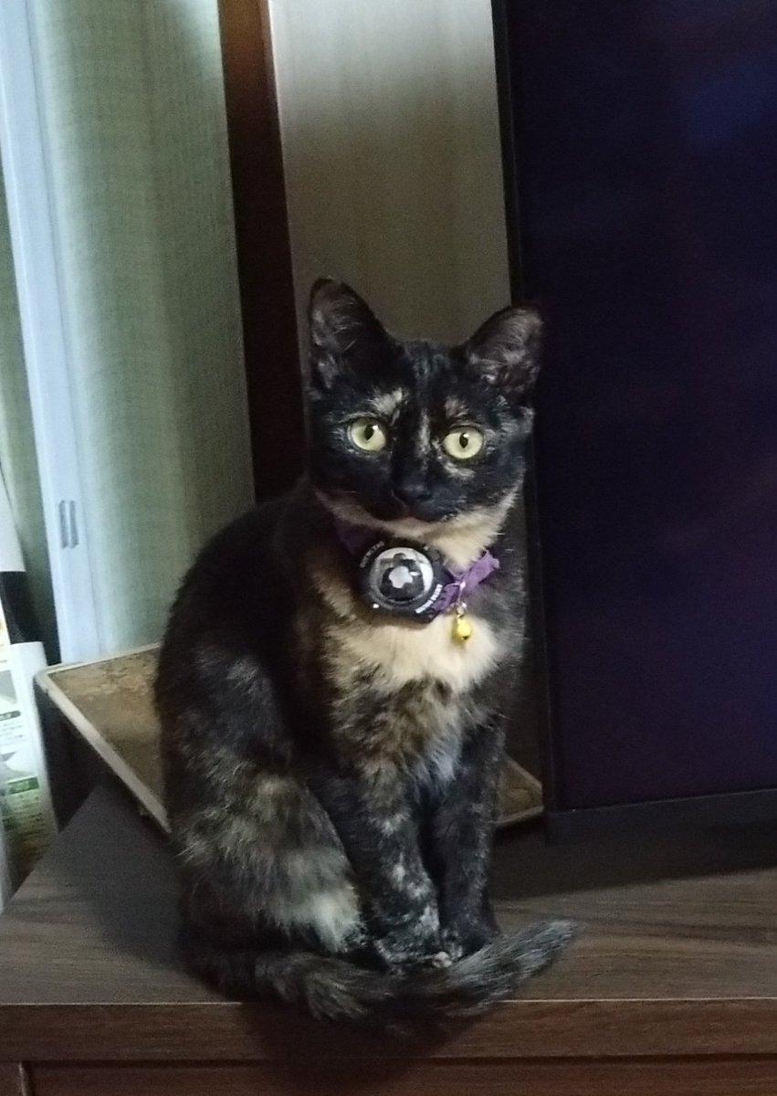 883のおじき tweet media