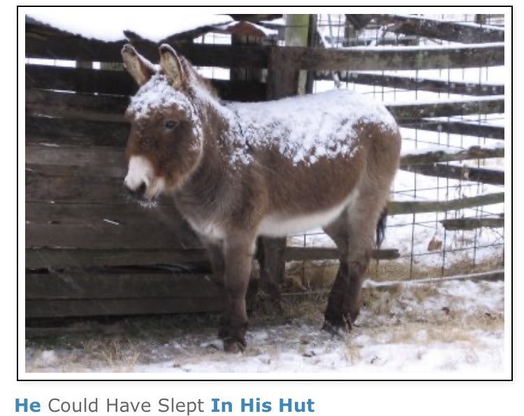 tried to like a funny video but then i accidentally liked a taylor swift post because i had autoplay on