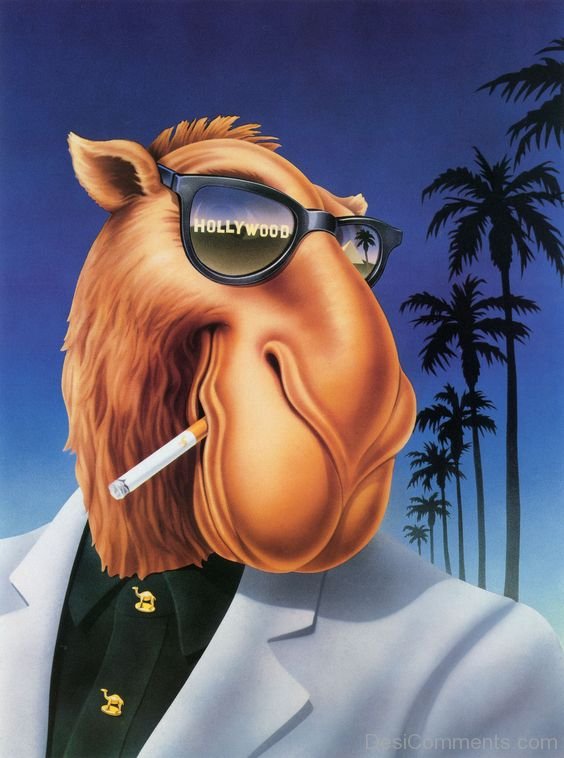 mondaman tweet media