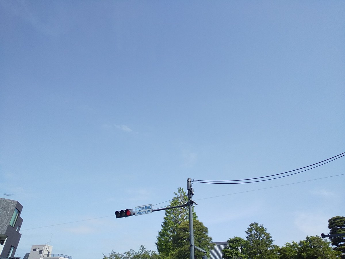 ysb_'s tweet image. 金曜日～

晴れ～

ちょい涼しめ～

本日も楽しくなりそうれす～

20260417～

 #世田谷 #世田谷区 #setagaya