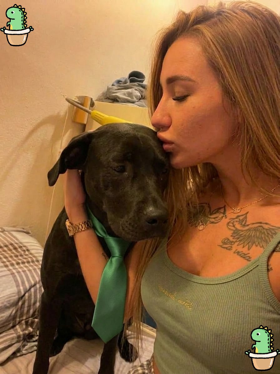 Lady Sonya tweet media