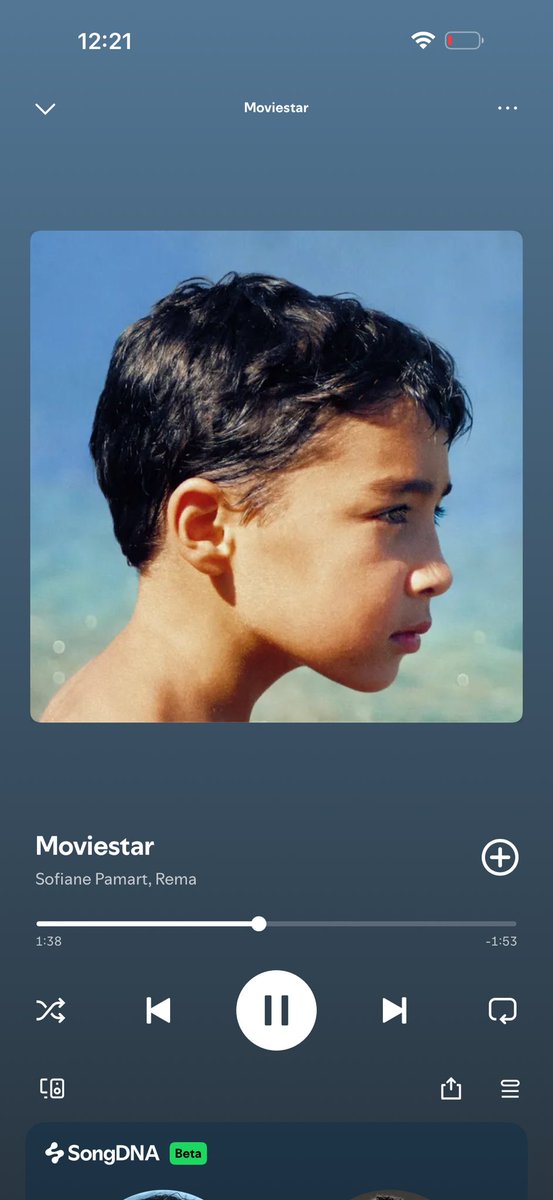 ZINO 🦇 🦇 🦇 tweet media