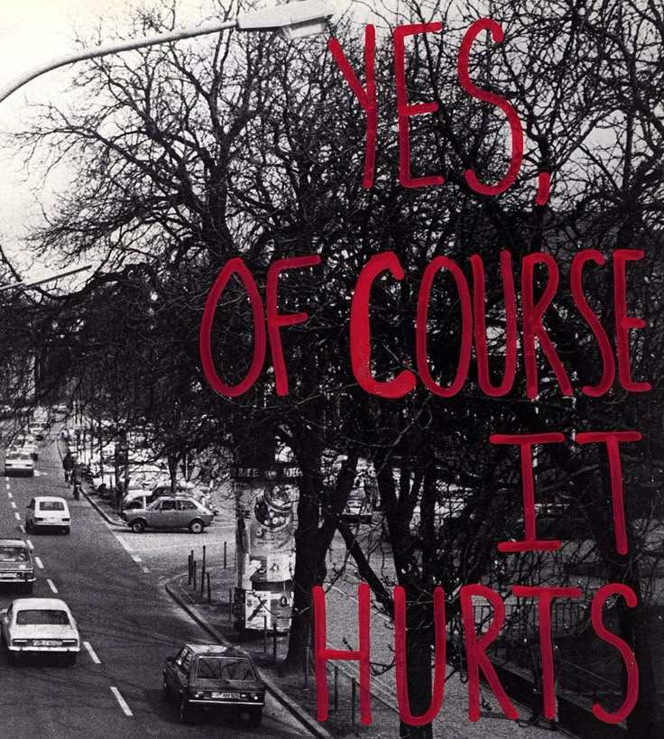 leon 🚭 tweet media