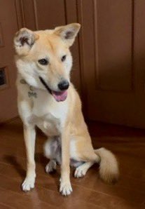 ヤスヒロ tweet media