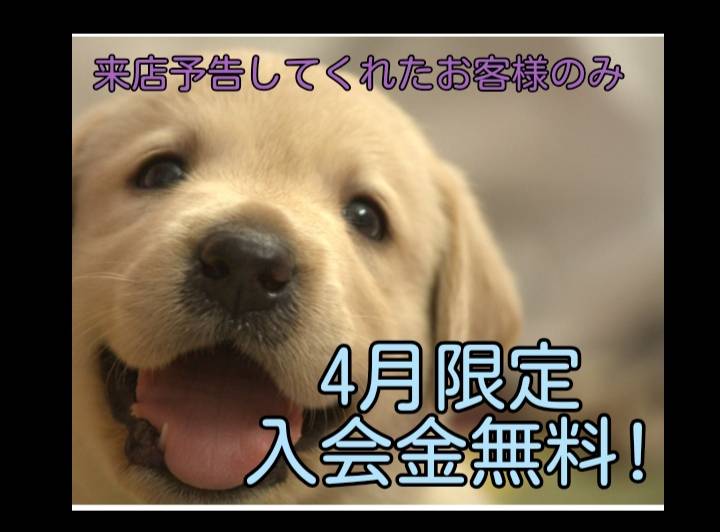 Second難波 tweet media