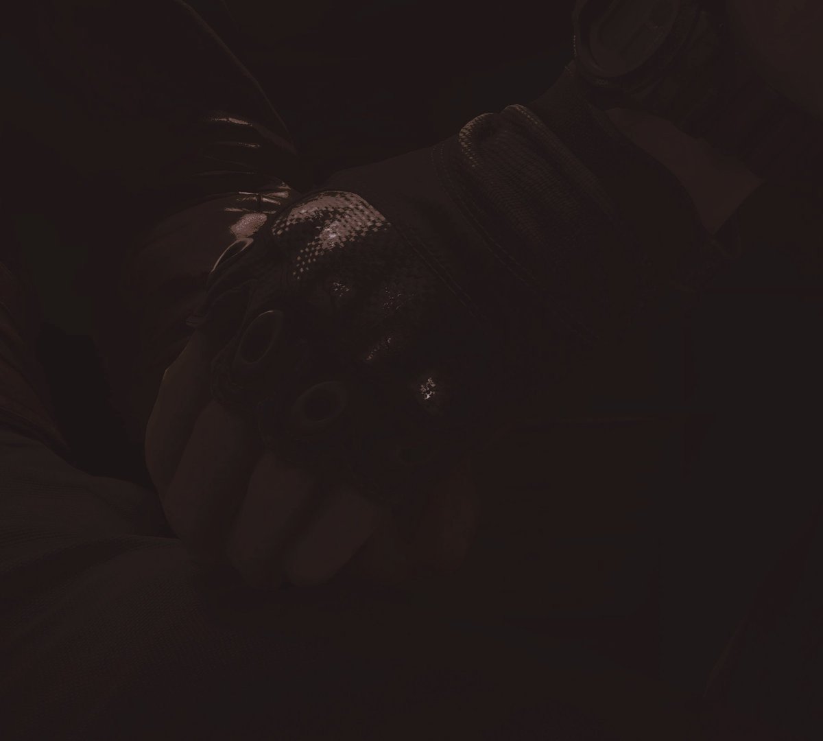 𓍯𓂃 … 𝐿𝓊𝒾𝓈 𝒮𝑒𝓇𝓇𝒶 ﹔ tweet media