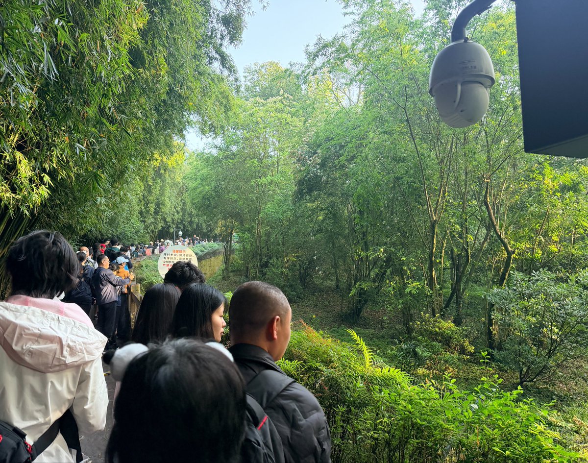 あちな* tweet media