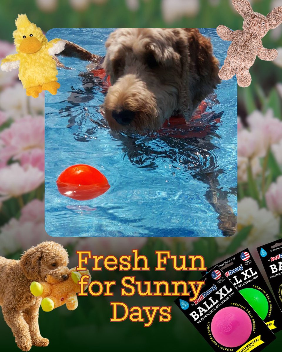 HWFeed's tweet image. Spring is here! 🌸 Refresh your pet's gear with our Spring Shop. From toys to flea &amp;amp; tick protection, we've got it all. 
Shop here: bit.ly/4ucn7cn 
#hwfeed #spring