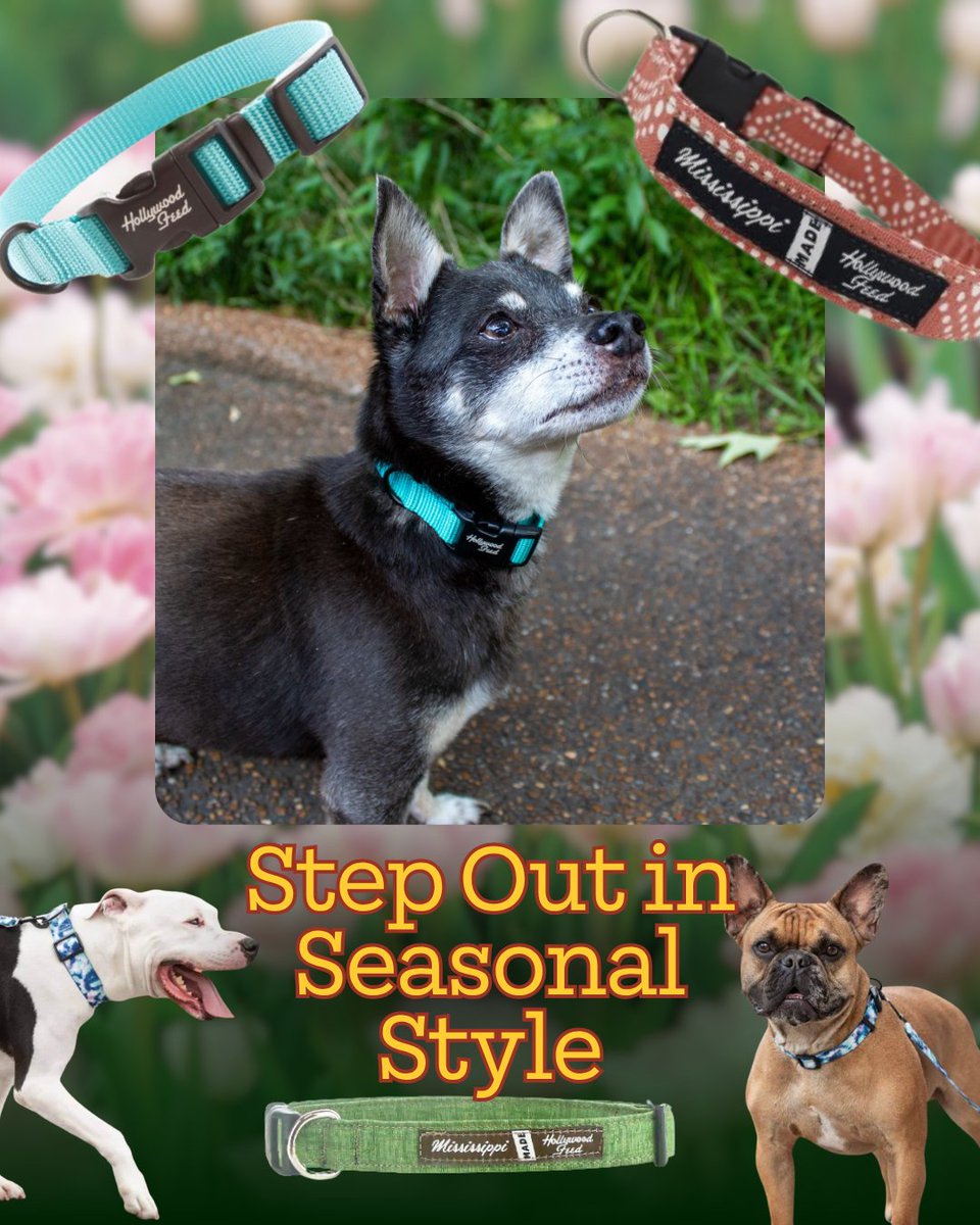HWFeed's tweet image. Spring is here! 🌸 Refresh your pet's gear with our Spring Shop. From toys to flea &amp;amp; tick protection, we've got it all. 
Shop here: bit.ly/4ucn7cn 
#hwfeed #spring