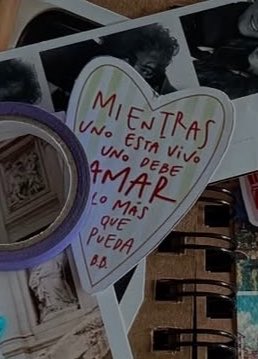 ali 🐝 tweet media