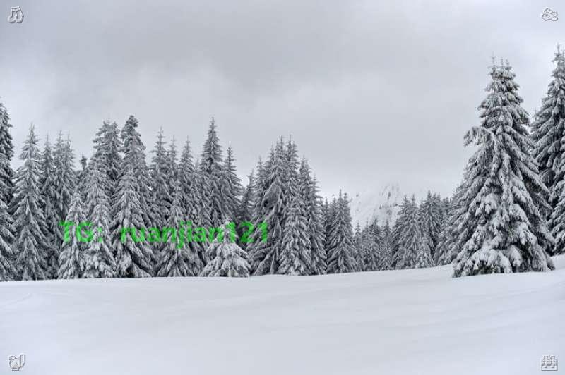 chocco19981122's tweet image. Get clients daily from Twitter 💰  

طريقة سهلة لجلب العملاء 🚀  

Automation changed everything 👇  

#makemoney #automation #twitter #UAE