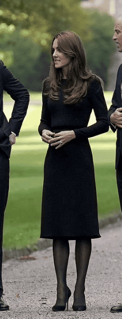 Paula Matanovich © tweet media