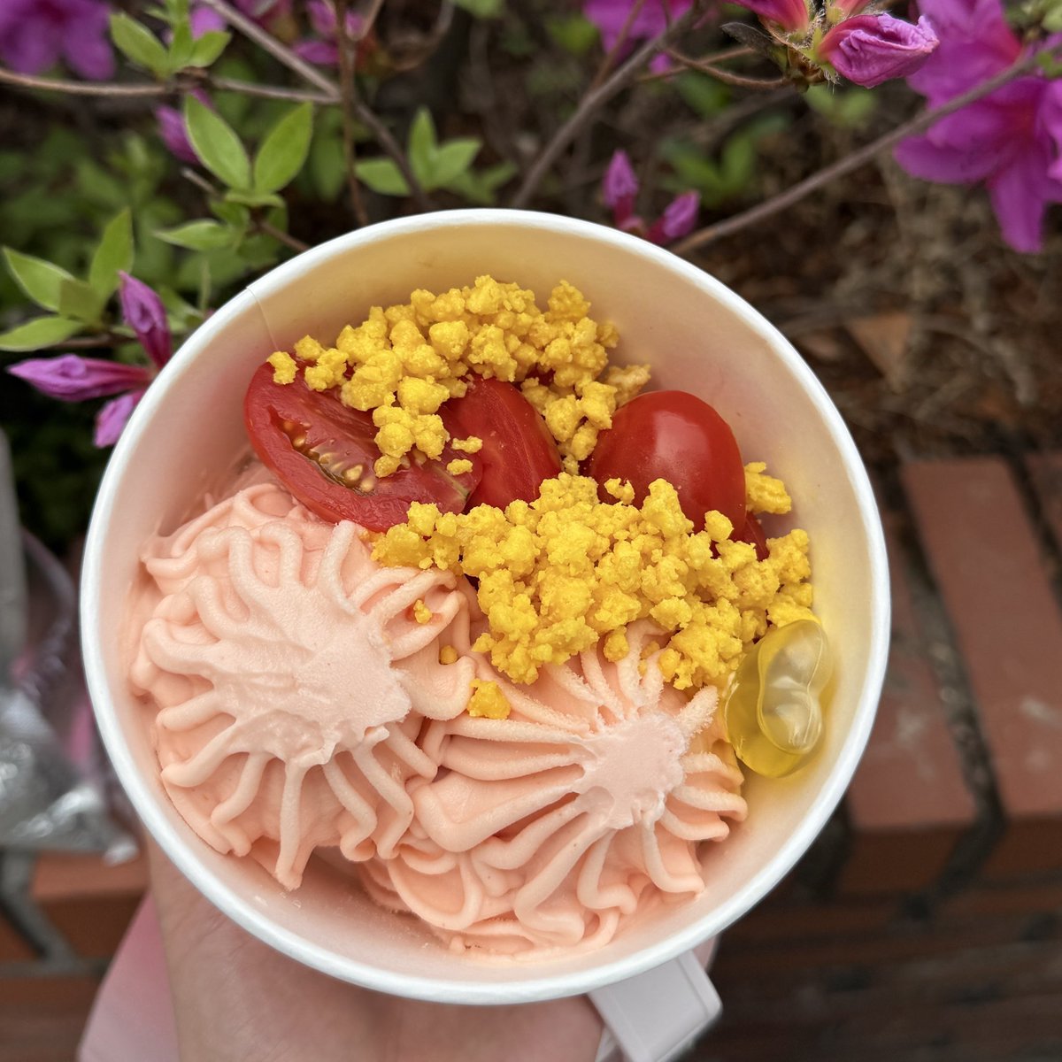 7th year: 🪾 tweet media