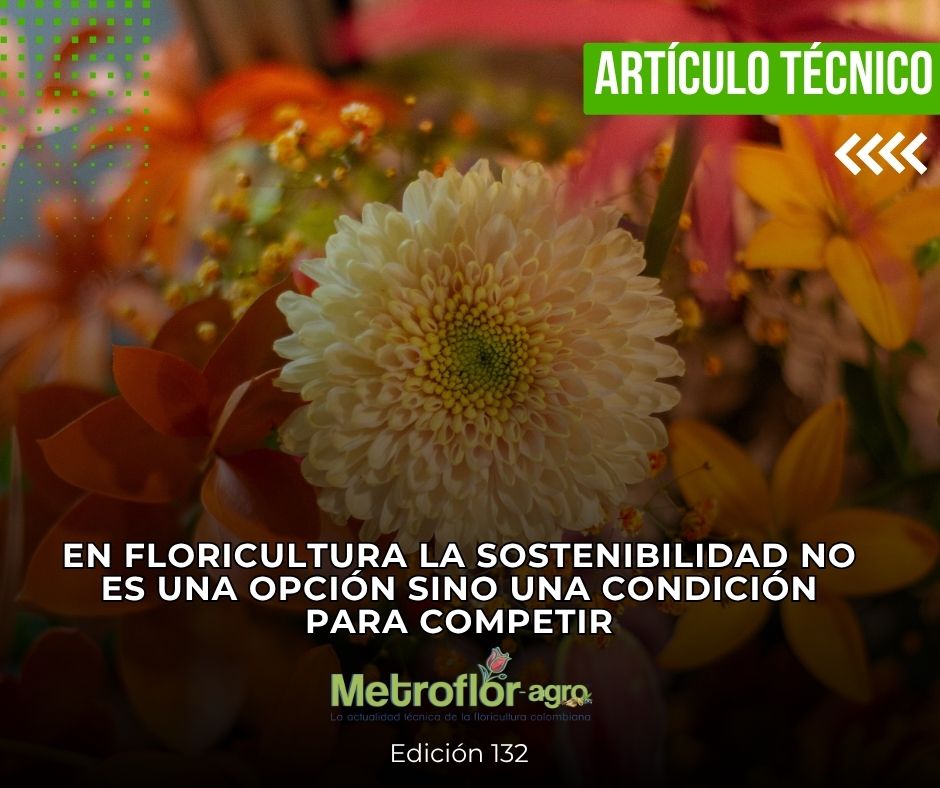 Revista Metroflor-agro tweet media