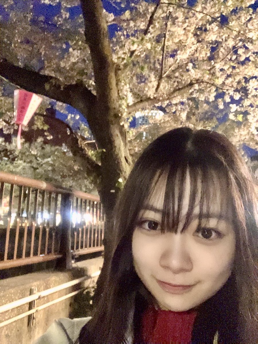 nogiYodaSW's tweet photo. さくたん＆小津ちゃん お誕生日おめでとう🎉

 #川﨑桜生誕祭
 #小津玲奈生誕祭 
 #乃木坂46 https://t.co/UKzbGL2aDz