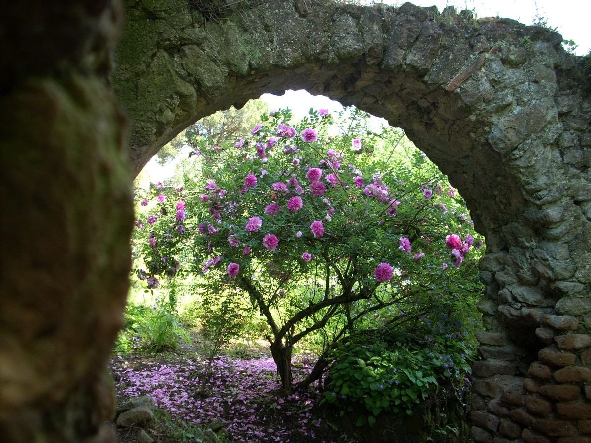 たいよう tweet media