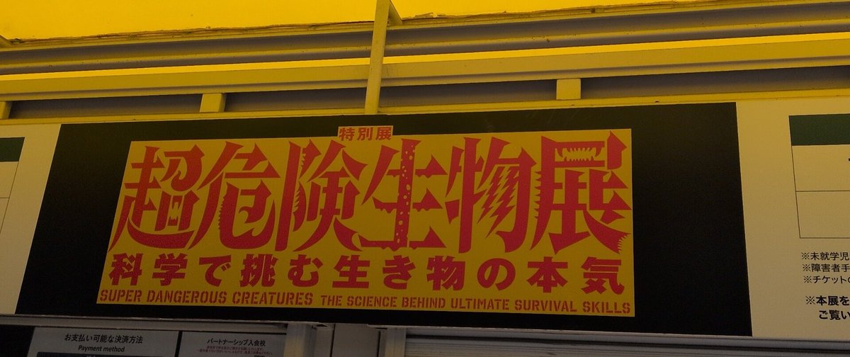 カチョ😇 tweet media