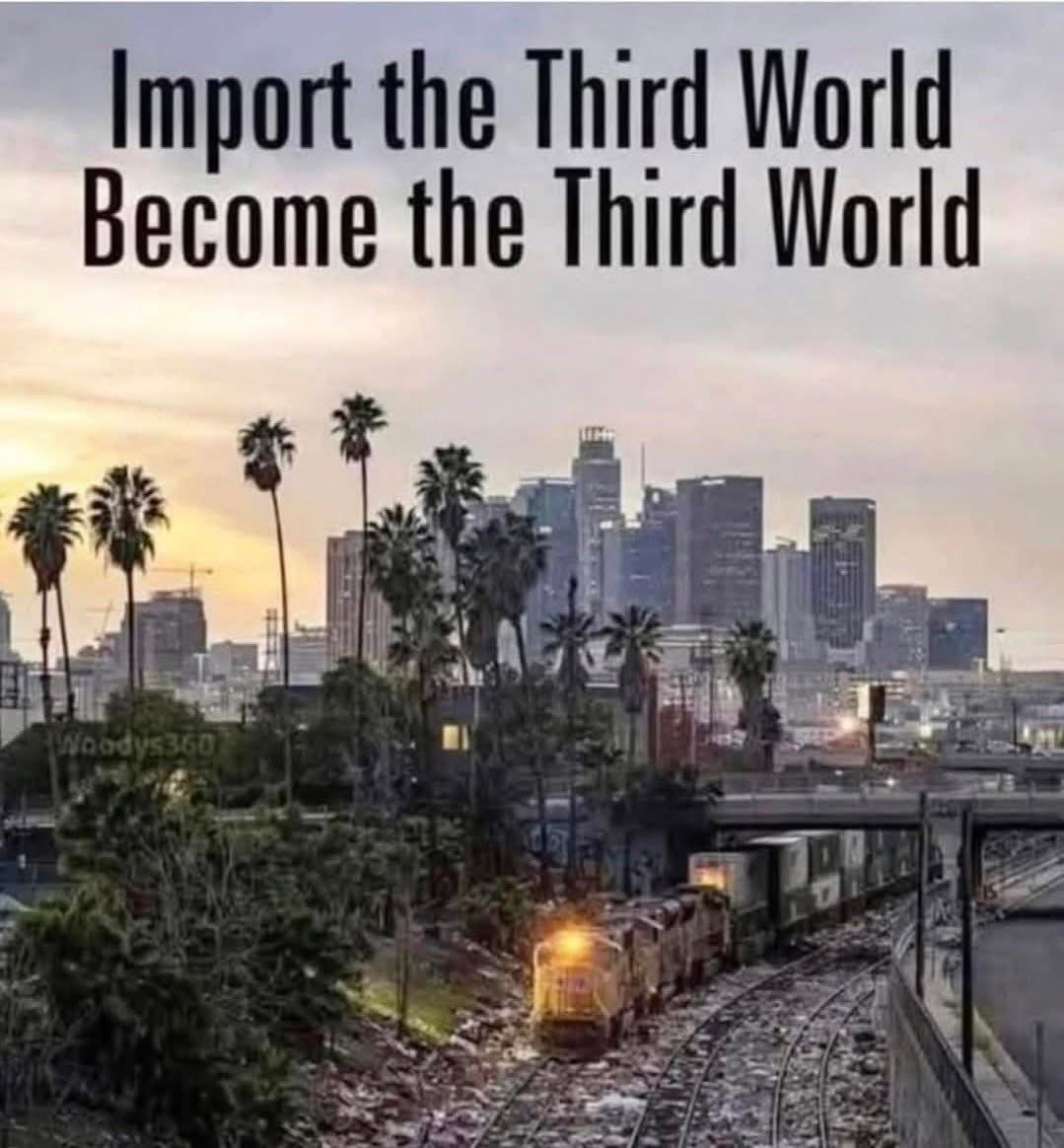 Daniel Hall tweet media