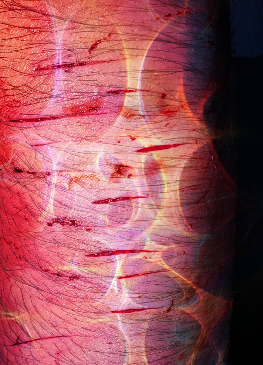 🐑 TotallyNotSharpie 🔪 ShTwT (in recovery) tweet media