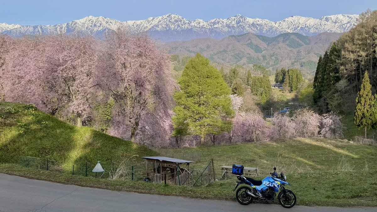 レプソってる？ tweet media