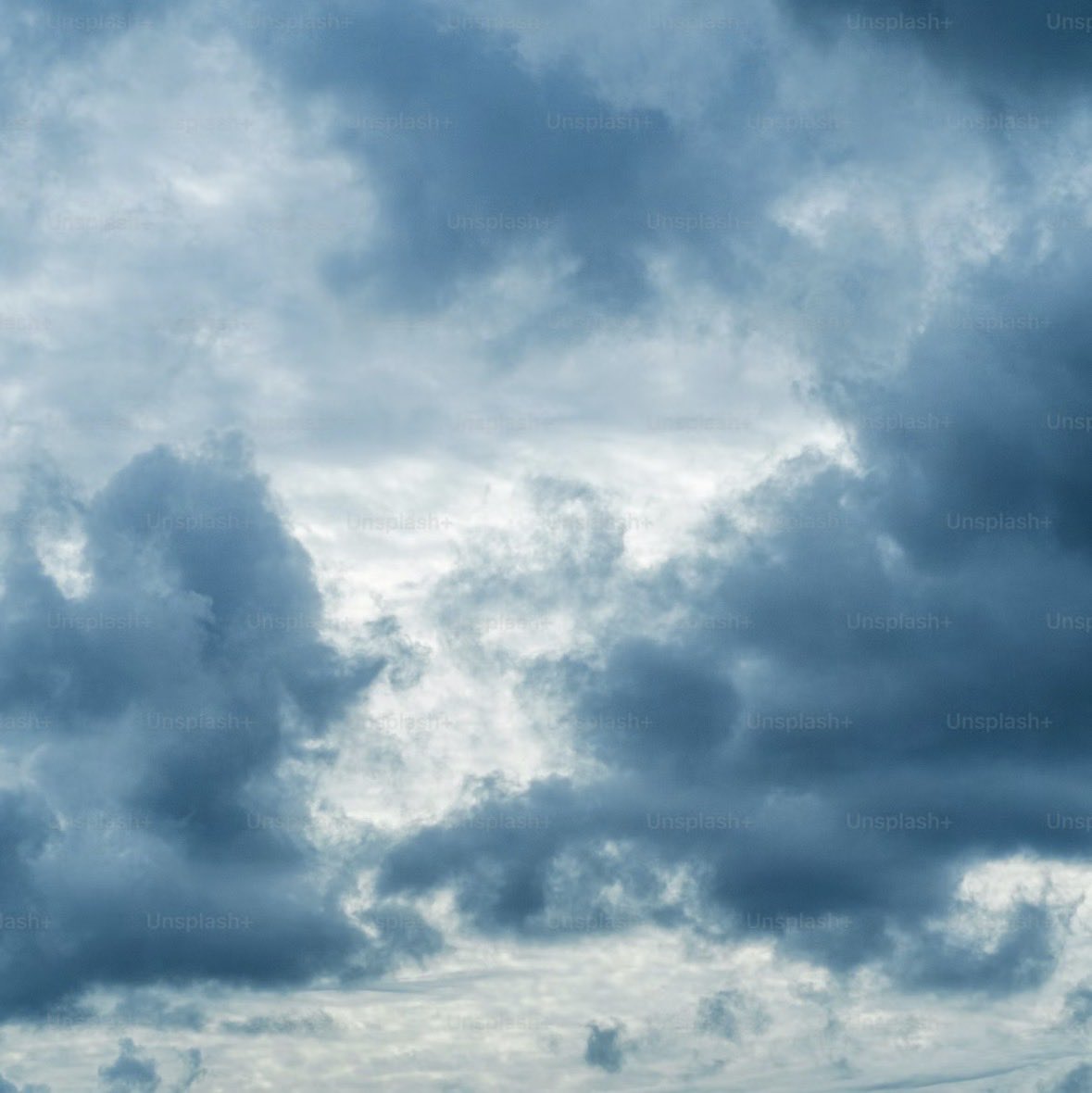 레모니 tweet media