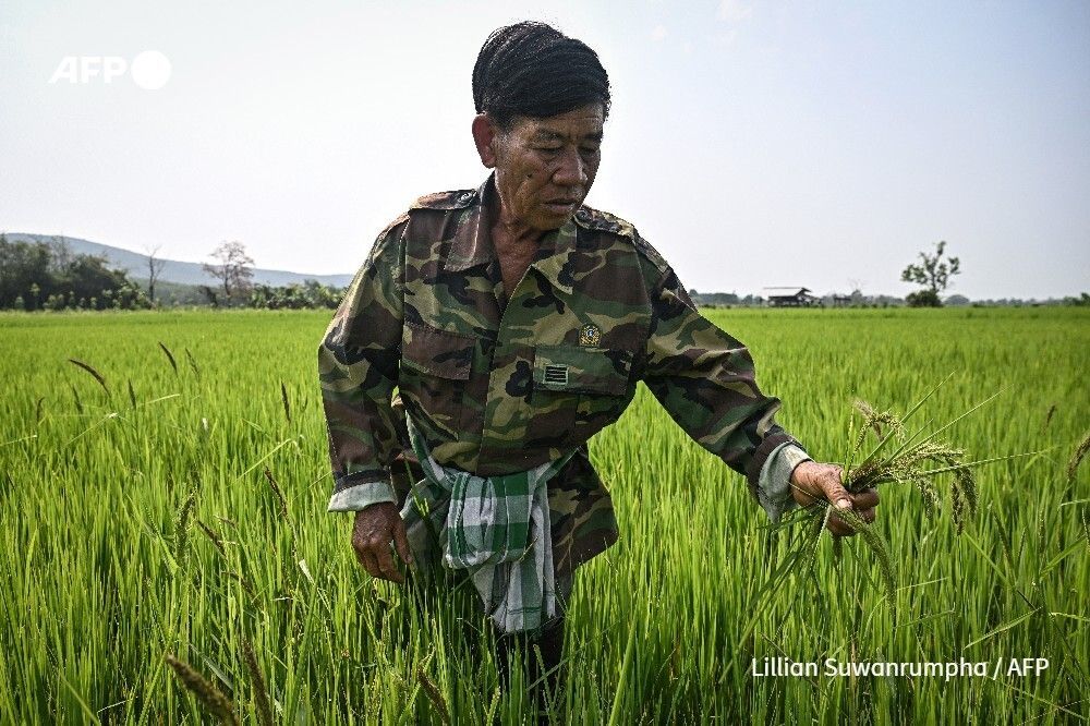 AFP News Agency tweet media