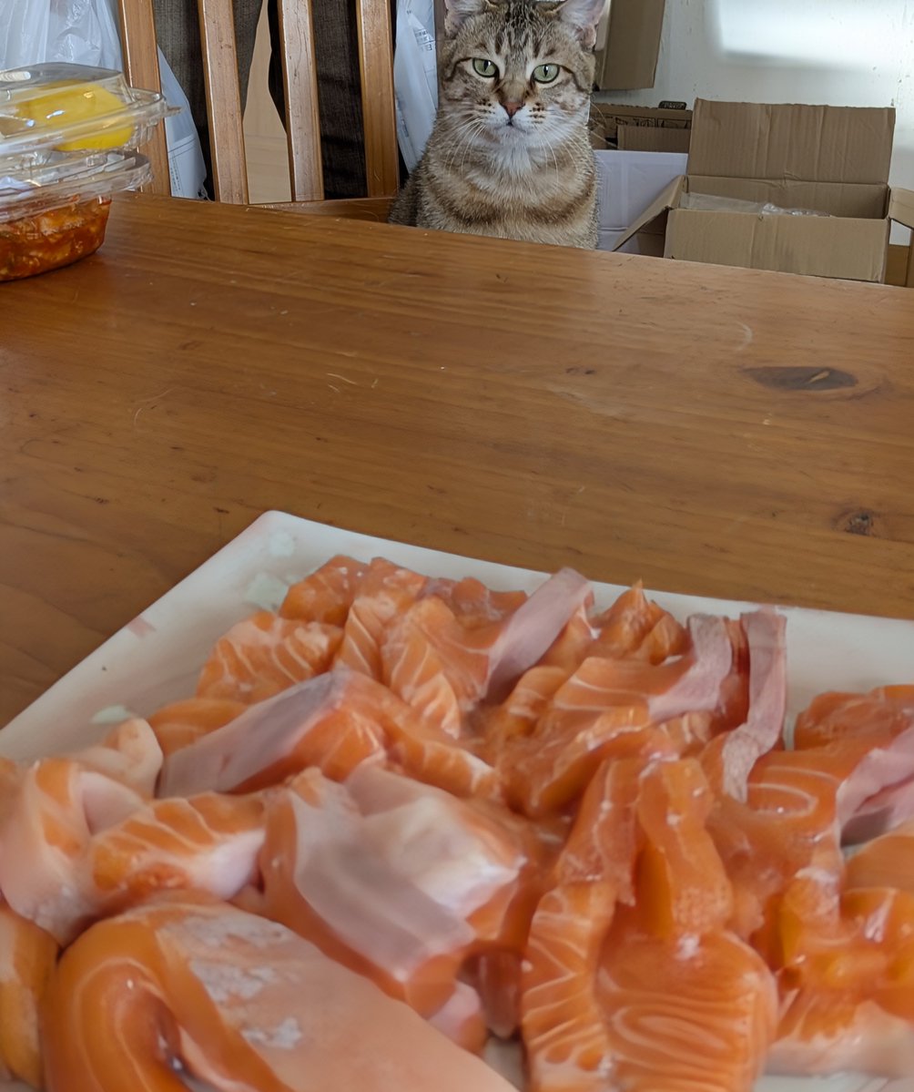 アヴェマナヴ tweet media