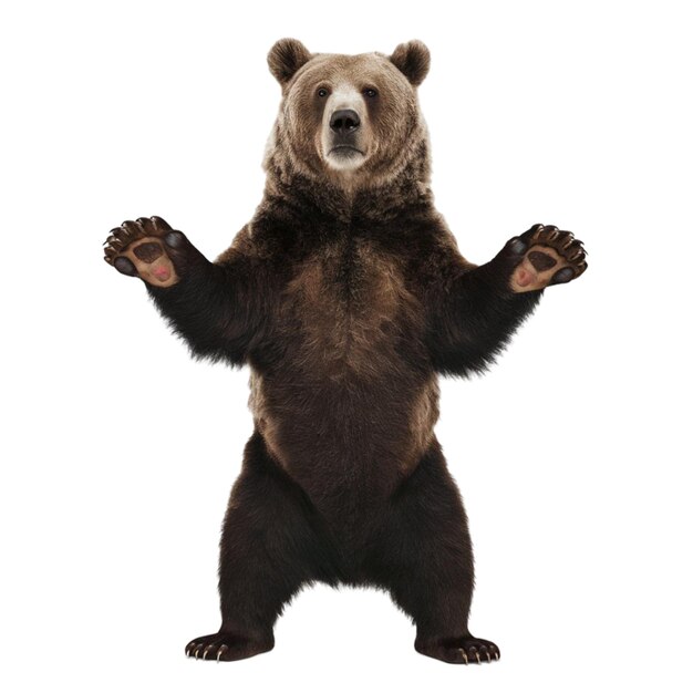 ℬibia do 𝒮unoo ENHYPEN IS 7 tweet media