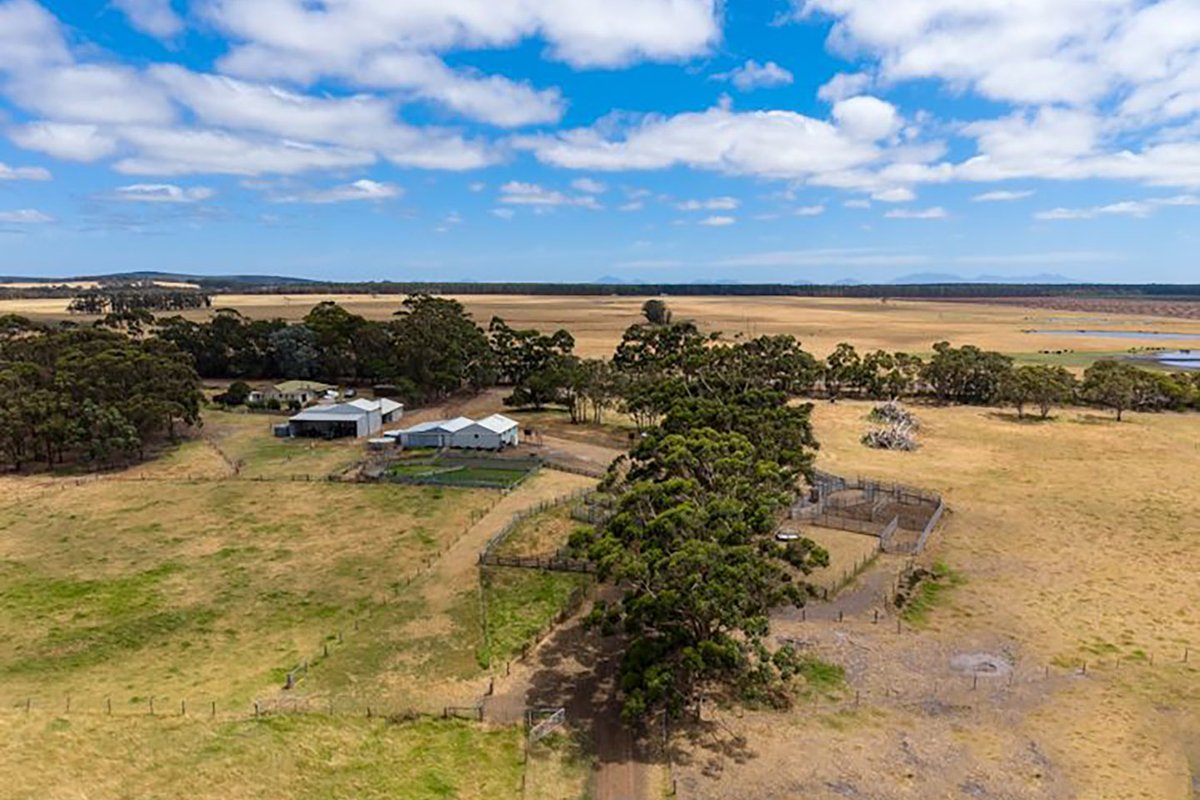 wabusinessnews's tweet image. Former West Coast Eagle, business partner buy $7.4m Albany farm: #agchatoz #property dlvr.it/TS4ZRz