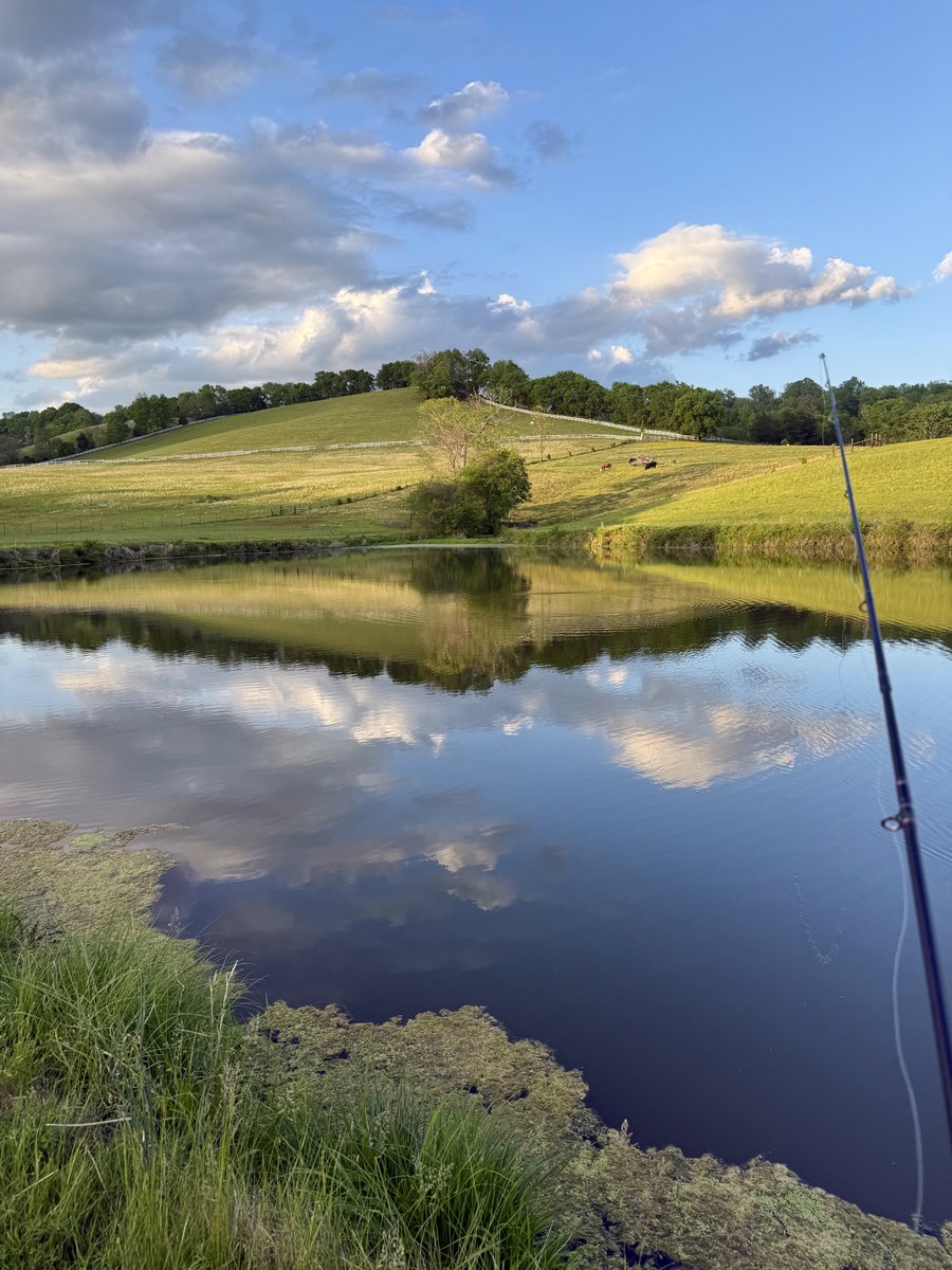 allthedogspleaz's tweet photo. The Braves are off tonight, so you know where I am 🎣 https://t.co/kTQnn3Xtsu