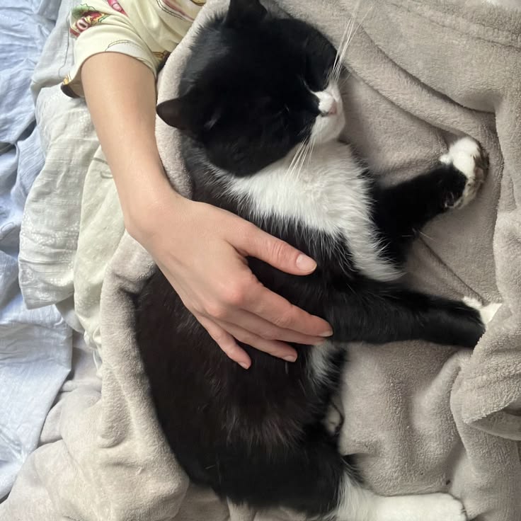 nana 𑄹 tweet media