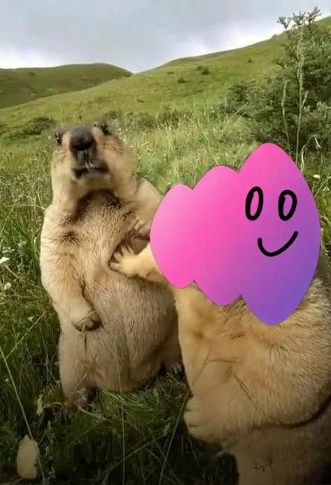 VOICE (opinion arc) tweet media