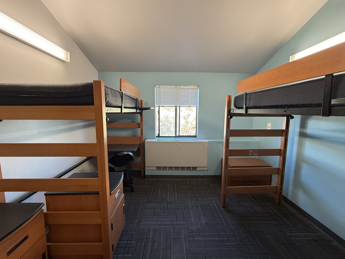 American Youth - BILT tweet media