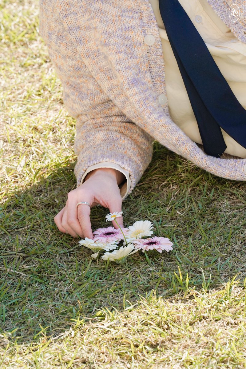 GOT7 WEEKLY 🗞🐣 tweet media