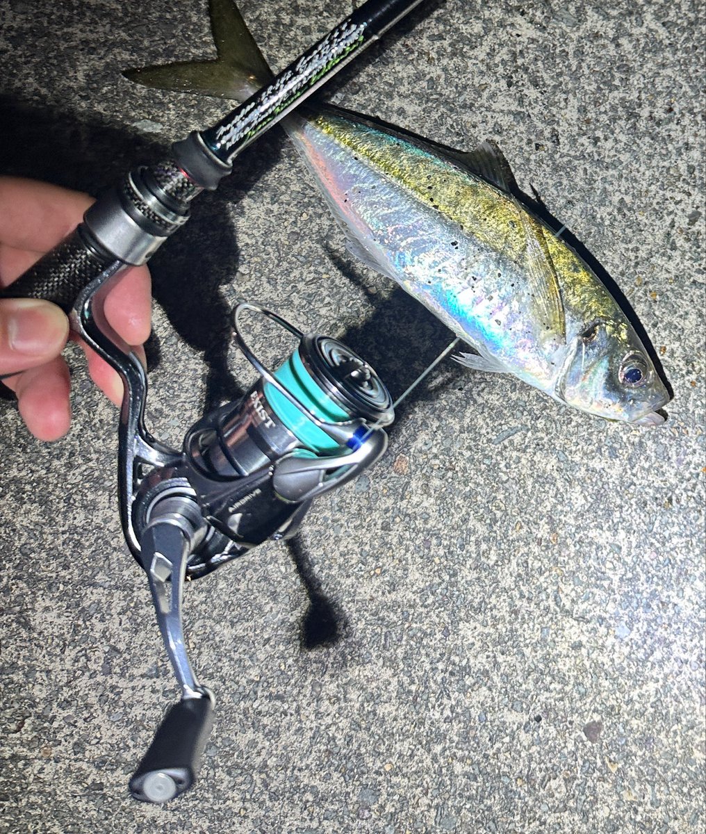 1000万回遠投したい！ tweet media