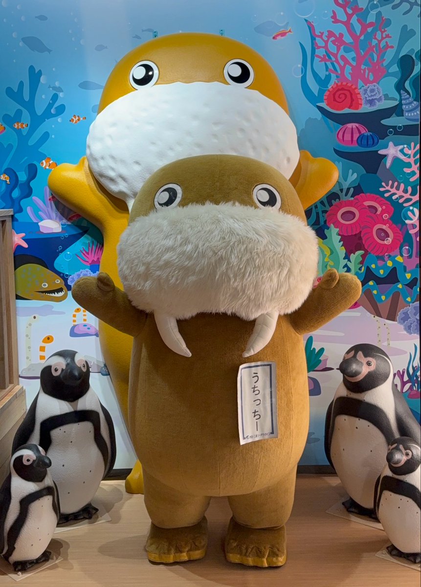 うちっちー【公式】 tweet media