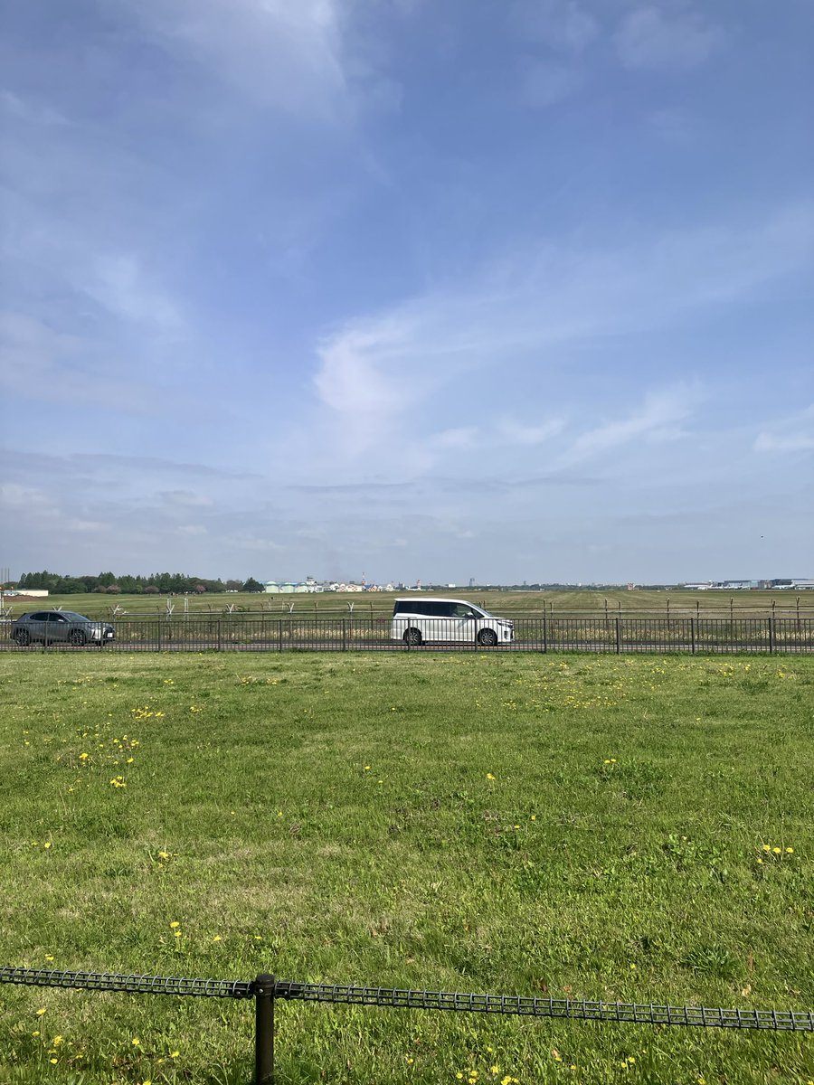 ほしかす tweet media