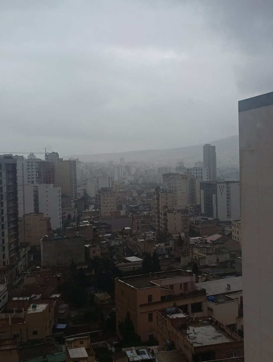 مفتش سقالات tweet media