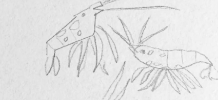 sand ☆ tweet media